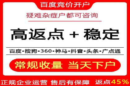 案例解读：SEM代理助力电商销量翻倍